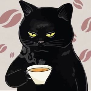 Meet your Posher, Zsanett